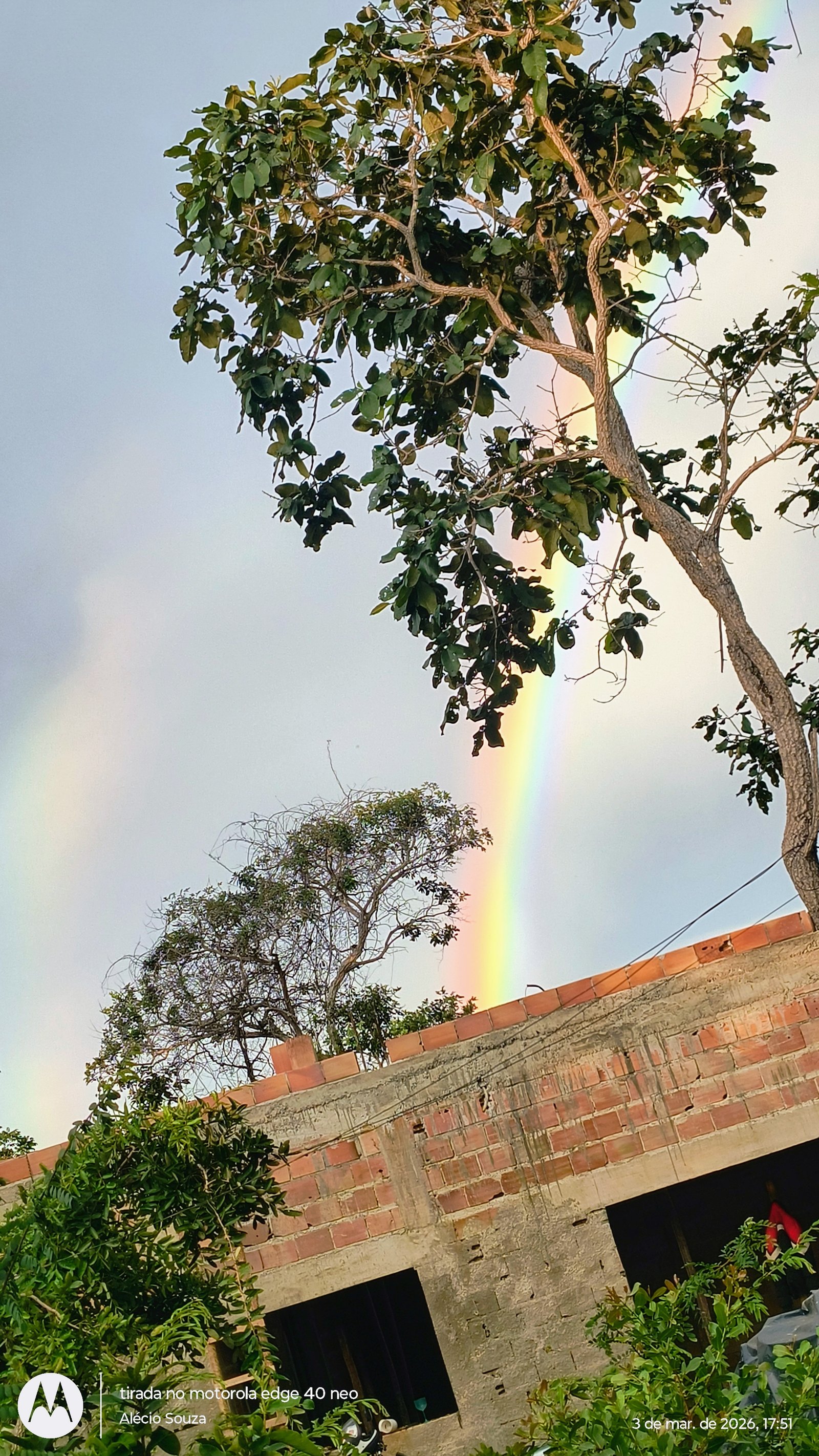 Imagem publicada por Admin Buriti+